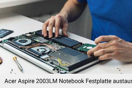 Acer Aspire 2003LM Laptop SSD/Festplatten Reparatur