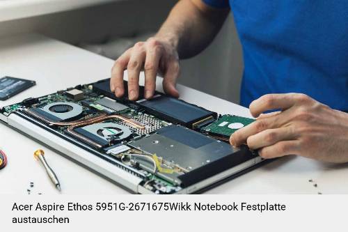 Acer Aspire Ethos 5951G-2671675Wikk Laptop SSD/Festplatten Reparatur