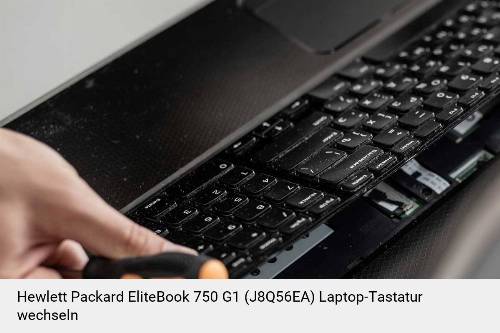 Hewlett Packard EliteBook 750 G1 (J8Q56EA) Laptop Tastatur-Reparatur