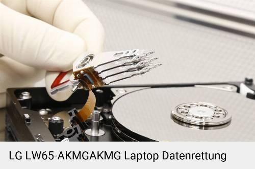 LG LW65-AKMGAKMG Laptop Daten retten