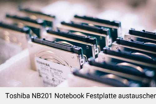 Toshiba NB201 Laptop SSD/Festplatten Reparatur