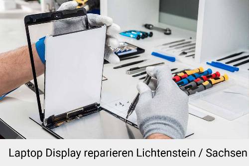Notebook Display Bildschirm Reparatur Lichtenstein / Sachsen