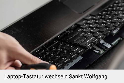 Laptop Tastatur Reparatur Sankt Wolfgang